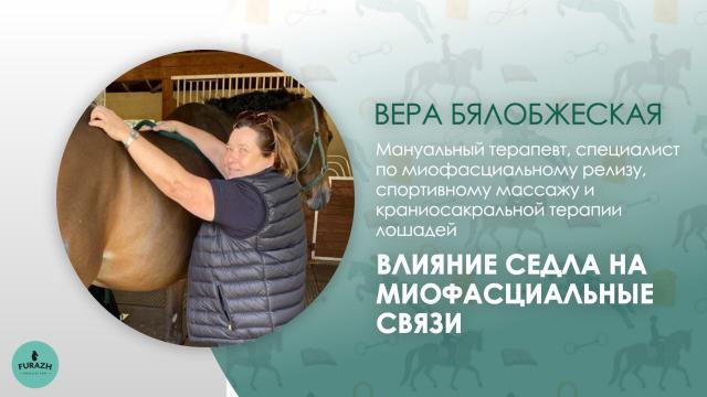 Лекция: Влияние положения седла на качество движений лошади